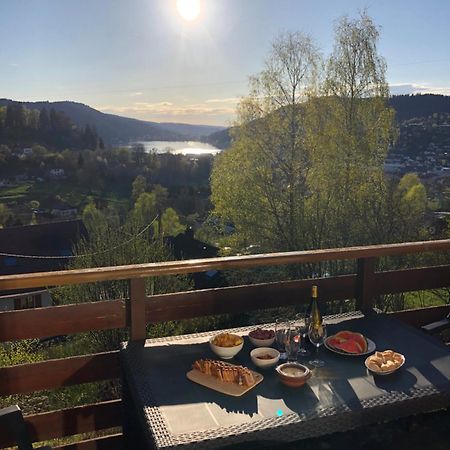 F3 Superbe Vue Lac, Grand Balcon, Ambiance Nature Gérardmer Eksteriør billede