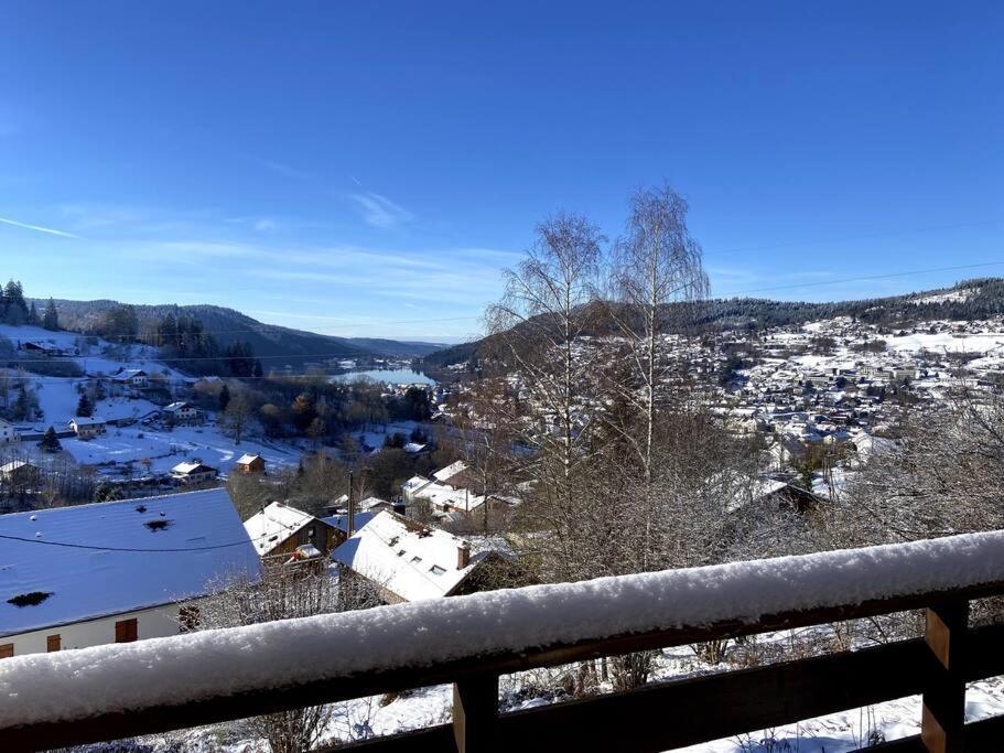 F3 Superbe Vue Lac, Grand Balcon, Ambiance Nature Gérardmer Eksteriør billede