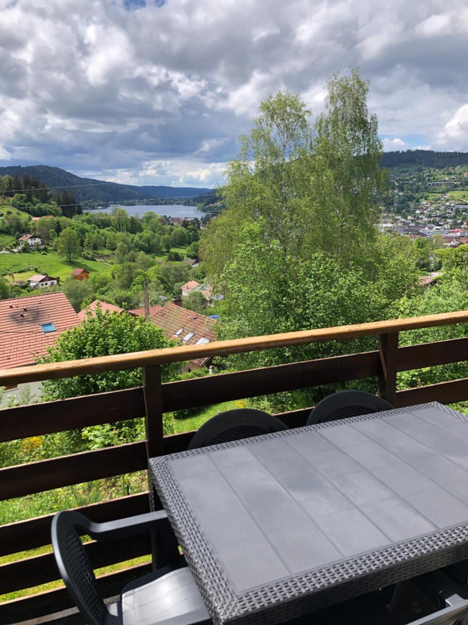 F3 Superbe Vue Lac, Grand Balcon, Ambiance Nature Gérardmer Eksteriør billede